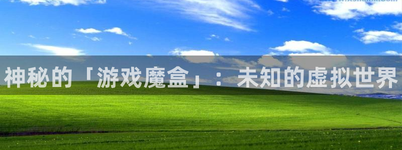 高德娱乐测速：神秘的「游戏魔盒」：未知的虚拟世界