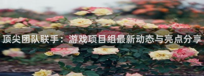 高德娱乐4开户：顶尖团队联手：游戏项目组最新动态与亮点分享