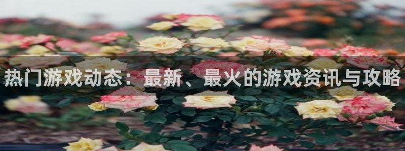 高德娱乐平台官网客服电话：热门游戏动态：最新、最火的游戏资讯