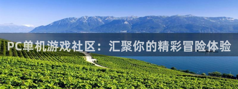 高德娱乐的意思：PC单机游戏社区：汇聚你的精彩冒险体验