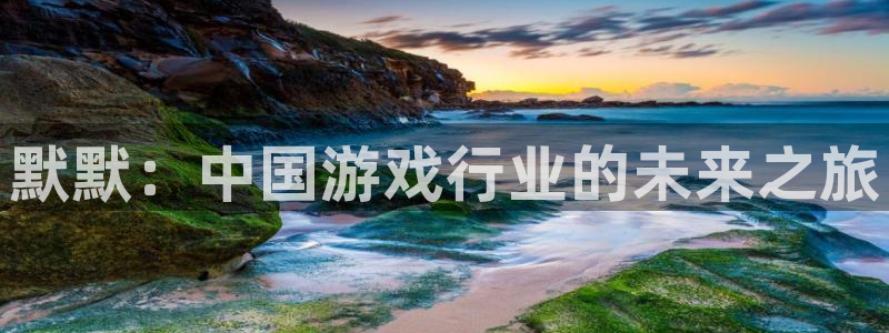 高德娱乐注册平台：默默：中国游戏行业的未来之旅