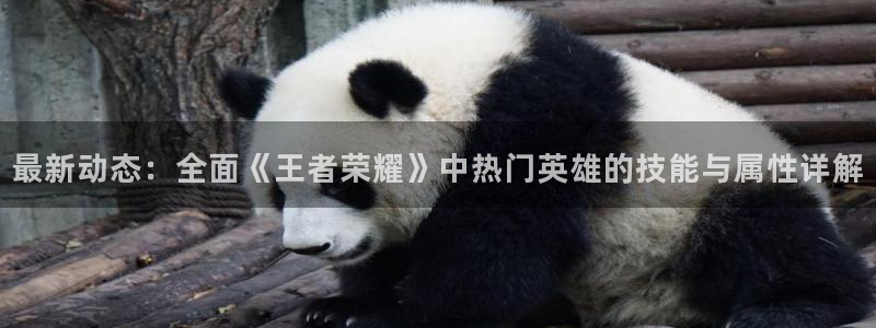高德娱乐注册平台：最新动态：全面《王者荣耀》中热门英雄的技能