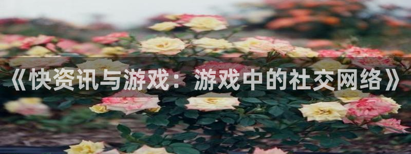 高德娱乐网址注册：《快资讯与游戏：游戏中的社交网络》