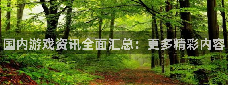 高德娱乐app：国内游戏资讯全面汇总：更多精彩内容