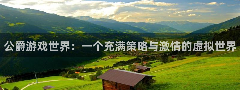 高德娱乐4招商：公爵游戏世界：一个充满策略与激情的虚拟世界