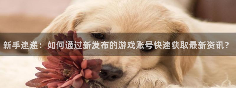 高德朱判官333oo